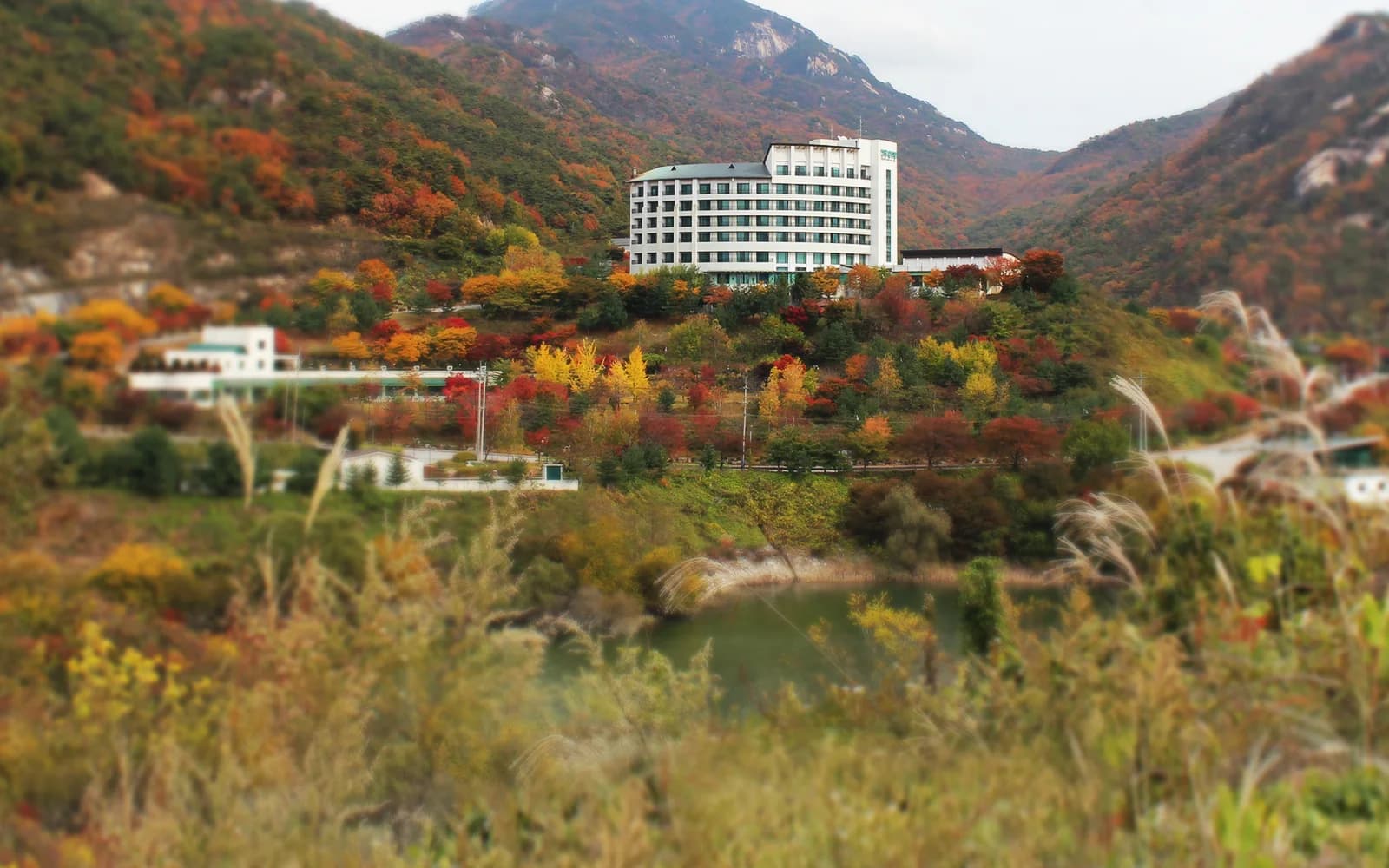 청풍리조트